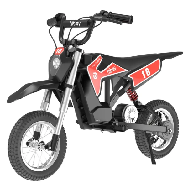 Hiboy DK1 36V/4Ah 300W Electric Dirt Bike For Kids