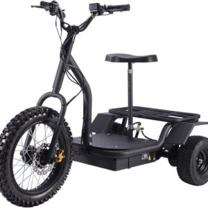 MotoTec Electric Trike 48V/24Ah 1200W
